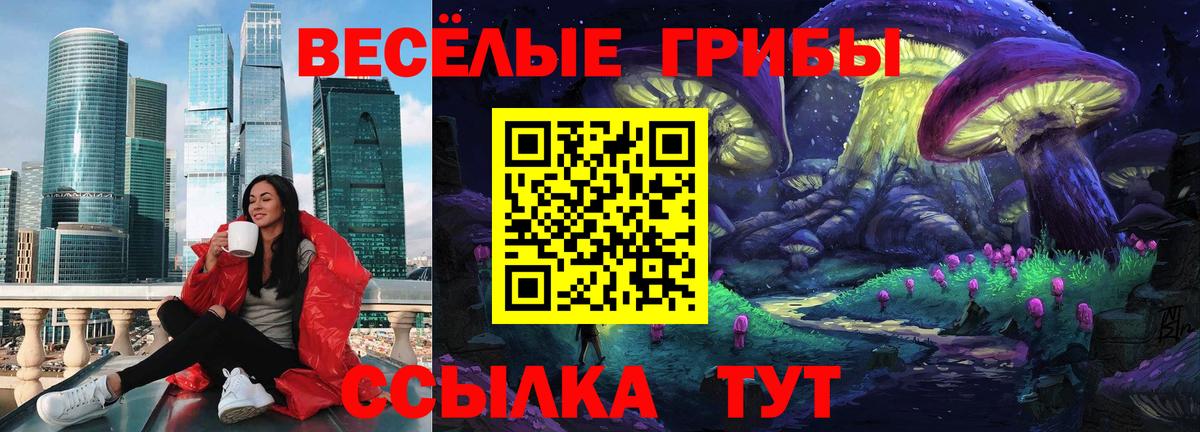 Галлюциногенные грибы Psilocybine cubensis Каменка